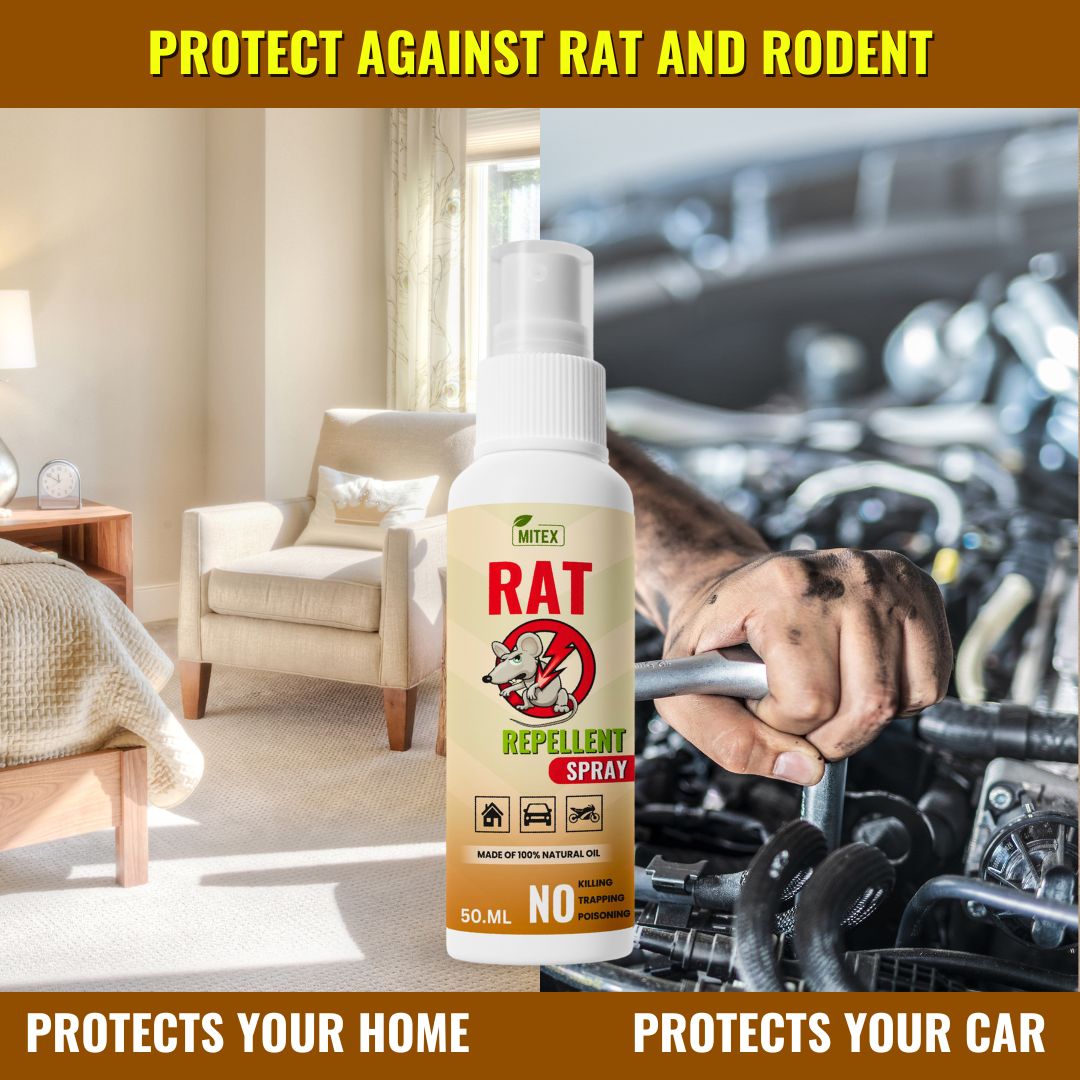 Rat Repellent Spray – Safe, Effective, and Eco-friendly.